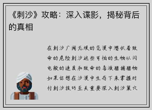 《刺沙》攻略：深入谍影，揭秘背后的真相
