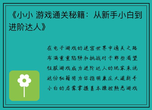 《小小 游戏通关秘籍：从新手小白到进阶达人》